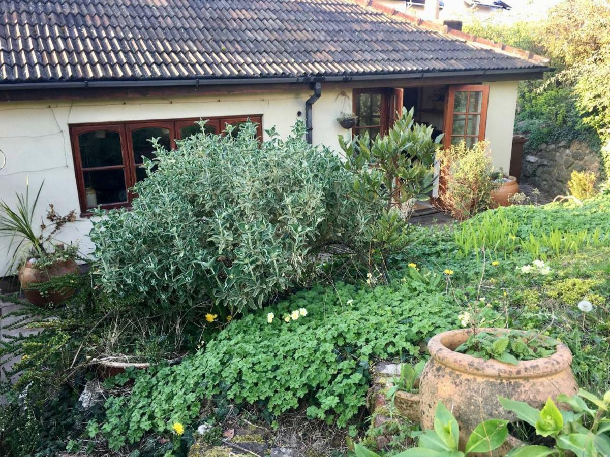 Secret Garden Cottage Exeter Exterior photo