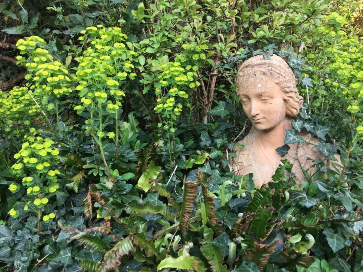 Secret Garden Cottage Exeter Exterior photo