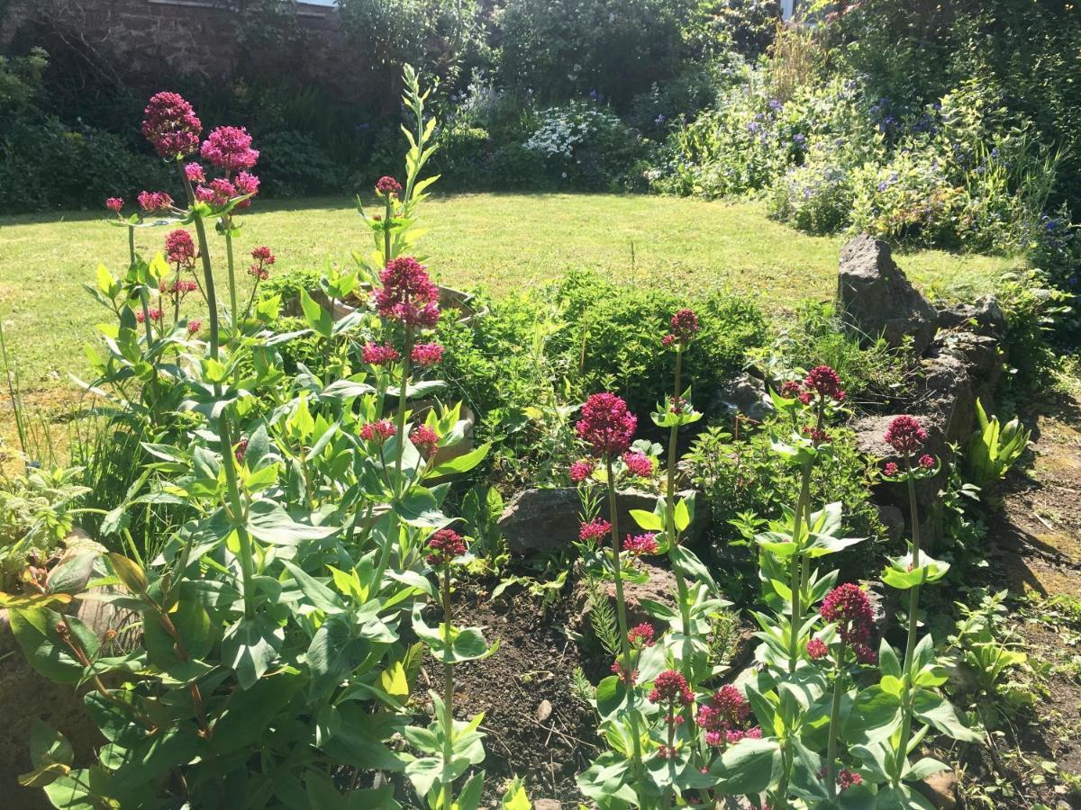 Secret Garden Cottage Exeter Exterior photo