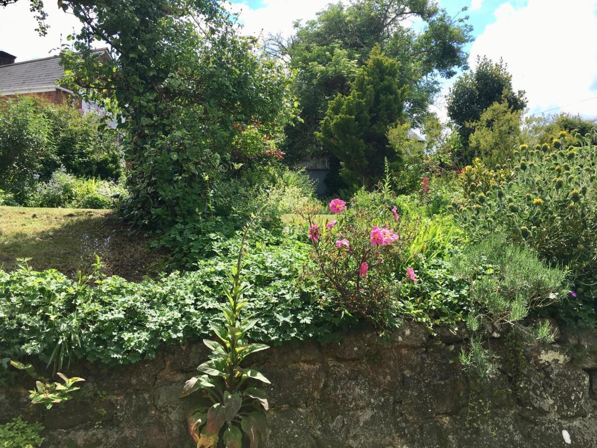 Secret Garden Cottage Exeter Exterior photo